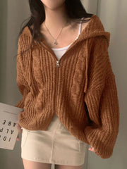 Hnewly Chic Autumn Winter Lazy Sle Loose Twist Double Zipper Hooded Long Sve Knitted Open Cardigan Sweater Women's Faion