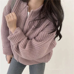 Hnewly Women's Zip Up Sweater Cardigan Chunky Knit Stand Collar Zipper Front Plain Sweater Jacket Ladies Korean Chic Fall Winter Outfit