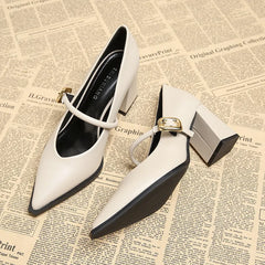 Hnewly Designer Spring Pointed Toe Women Mary Jane Shoes Fashion Shallow Belt Buckle Shoes Elegant Thick Heel Dress Leather Shoes