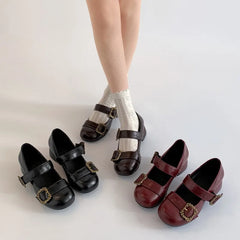 Lunivop Spring Retro Designer Women Mary Jane Shoes New Round Toe Shallow Chunky Heel Shoes Metal Buckle Non-slip Block Heel Pumps
