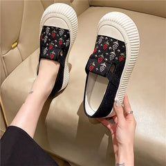 Hnewly Comfortable and Elegant Canvas Shoes for Women Spring Autumn Designer Luxury Offer Walking Daily Routine Woman Footwear On Sale