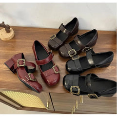 Lunivop Spring Retro Designer Women Mary Jane Shoes New Round Toe Shallow Chunky Heel Shoes Metal Buckle Non-slip Block Heel Pumps
