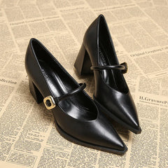 Hnewly Designer Spring Pointed Toe Women Mary Jane Shoes Fashion Shallow Belt Buckle Shoes Elegant Thick Heel Dress Leather Shoes