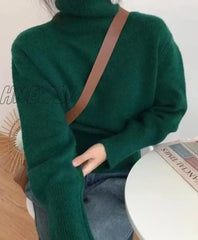 Hnewly Cashmere Elegant Turtle Neck Women Sweater Soft Knitted Basic Pullovers O Loose Warm Female