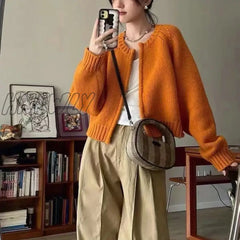 Hnewly Korean Knitted Cardigan Women Sweet Zipper Cropped Sweaters Autumn Vintage Knitwear Coat