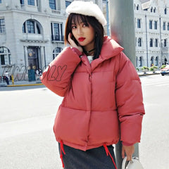 Hnewly Korean Style Winter Jacket Parkas Women Stand Collar Solid Black White Female Down Coat