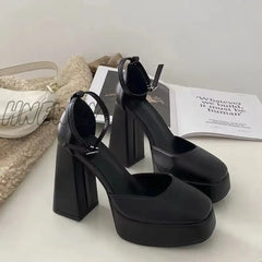 Hnewly Mary Jane Shoes Women New Spring Autumn Thick Heels High Waterproof Platform Hollow Luxury