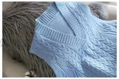 Hnewly Twist Pullover Sweater Vest Women Autumn New Loose Net Red V - Neck Waistcoat Wool Knitted