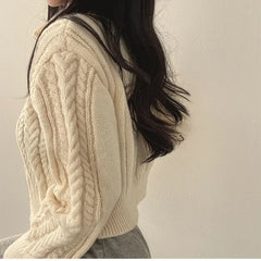 Hnewly  Chunky Knit Zip Up Cardigan for Women Zipper Front Long Sleet Sweater Coat Knitwear Crop Sweater Korean Chic Fall Winter Outfit