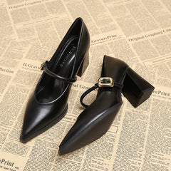 Hnewly  Designer Spring Pointed Toe Women Mary Jane Shoes Fashion Shallow Belt Buckle Shoes Elegant Thick Heel Dress Leather Shoes