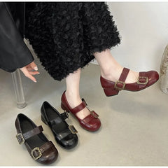 Lunivop  Spring Retro Designer Women Mary Jane Shoes New Round Toe Shallow Chunky Heel Shoes Metal Buckle Non-slip Block Heel Pumps