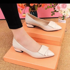 Hnewly  Shoes for Women Pointed Toe Low Heel Elegant Woman Pumps Korean Style L Casual Dress On Offer Genuine Mark Vacation Comfortable
