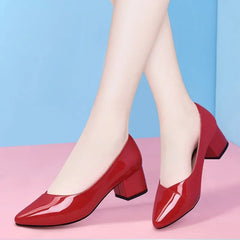 Hnewly  Woman Pumps Pointed Toe Shoes for Women with Medium Heels Moccasins Block Heel Chunky Chic Point Korean Style Footwear 39 Young