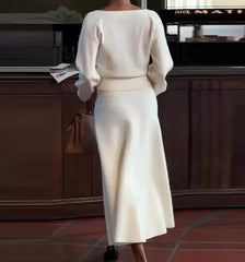 Hnewly  Autumn New Women's Long - Sleeve Deep V - Neck Solid Color Two - Piece Set Buttoned Top with Midi Skirt