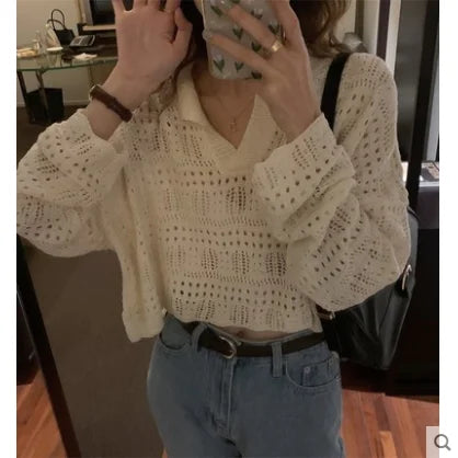Hnewly  Sheer Pointelle Knit Sweater for Women Long Sleeve V-Neck Crop Knit Top Pullover Teen-girl Spring Autumn Y2K Outfit