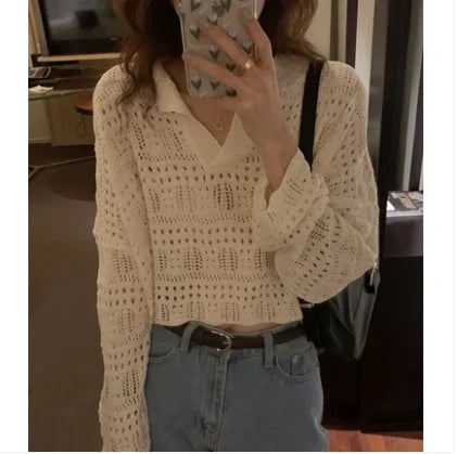 Hnewly  Sheer Pointelle Knit Sweater for Women Long Sleeve V-Neck Crop Knit Top Pullover Teen-girl Spring Autumn Y2K Outfit