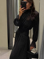 Hnewly  Retro Black Polka Dot High Neck Women Midi Dress Fashion Flowy Sheer Full Sleeve A-line Dresses Lady Casual Street Vestidos
