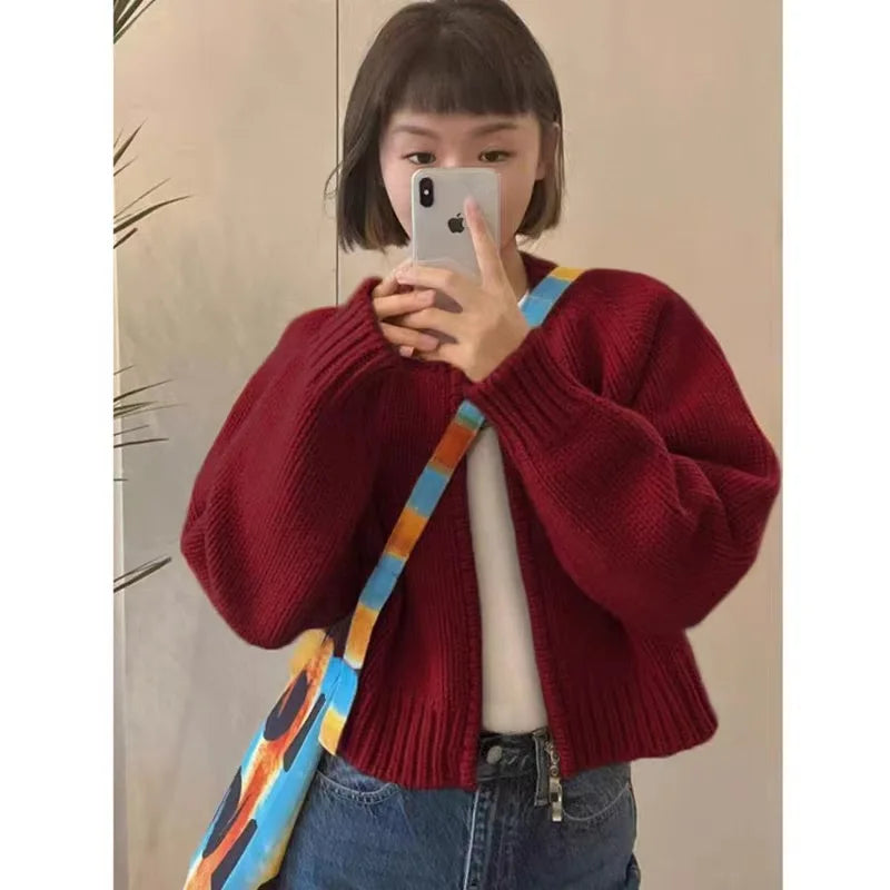 Hnewly Korean Women Knitted Sweater Autumn Winter Chic Loose Long Sleeve Cardigan Tops Simple Solid Color Sweater Jacket