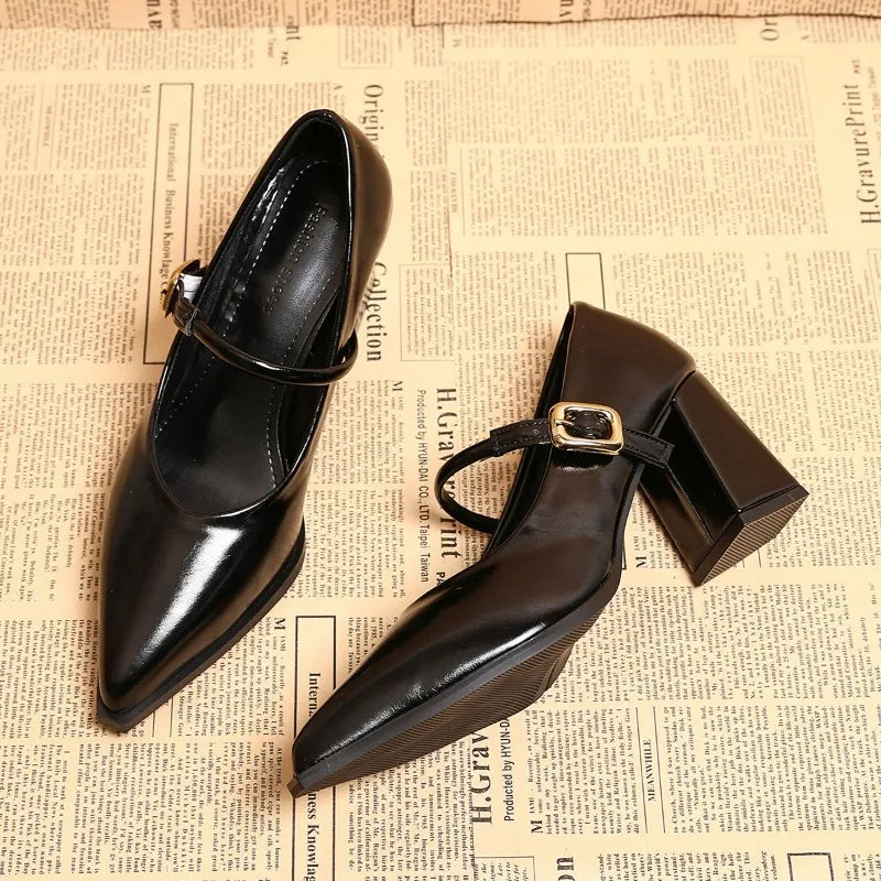 Hnewly  Designer Spring Pointed Toe Women Mary Jane Shoes Fashion Shallow Belt Buckle Shoes Elegant Thick Heel Dress Leather Shoes