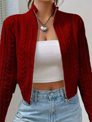 Hnewly  Zip Up Crop Cardigan for Women Boxy-fit Zipper Front Cable Knit Sweater Jacket Autumn Winter Teen-girl Y2K Outfit