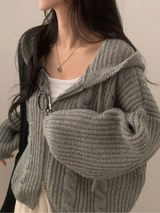Hnewly  Chic Autumn Winter Lazy Sle Loose Twist Double Zipper Hooded Long Sve Knitted Open Cardigan Sweater Women's Faion