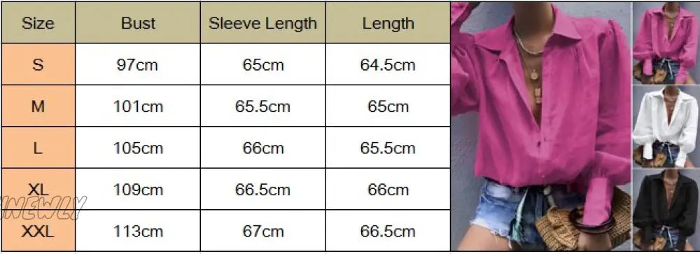 Hnewly Autumn Puff Sleeve Shirts Womens Long Lapel V Neck Buttons Blouse Solid Color Casual Elegant